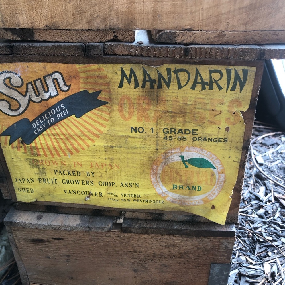 Seiko Yellow & Black Mandarin Crate Label